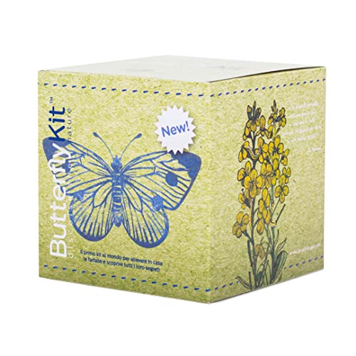 ButterflyKit, Il Kit per Allevare in Casa le farfalle di Cavolaia Maggiore - Esperimento educativo, Kit educativi scientifici Bambini, Idee Regalo Bambino Bambina, Compleanno, Idea Regalo Ragazza