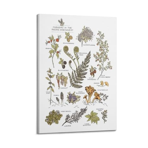 HNPBB Poster vintage con botanica commestibile, poster decorativo da parete su tela, poster decorativo per camera da letto e camera da letto (40 x 60 cm)